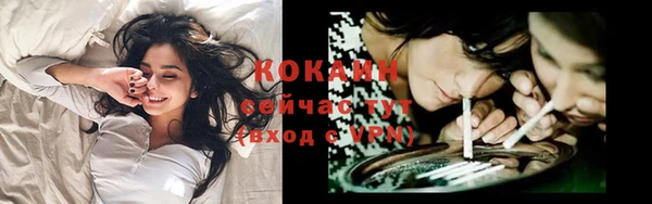твердый Абаза