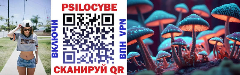 Псилоцибиновые грибы прущие грибы  Чайковский 