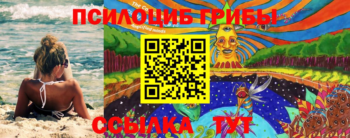 Галлюциногенные грибы Magic Shrooms  Вход с VPN  Чайковский 